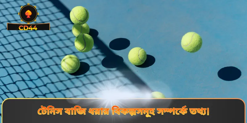 টেনিস বাজি ধরার বিকল্পসমূহ সম্পর্কে তথ্য।