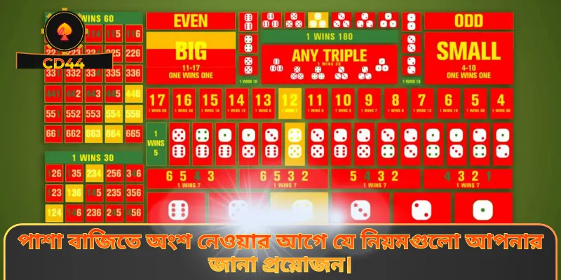 পাশা বাজিতে অংশ নেওয়ার আগে যে নিয়মগুলো আপনার জানা প্রয়োজন।