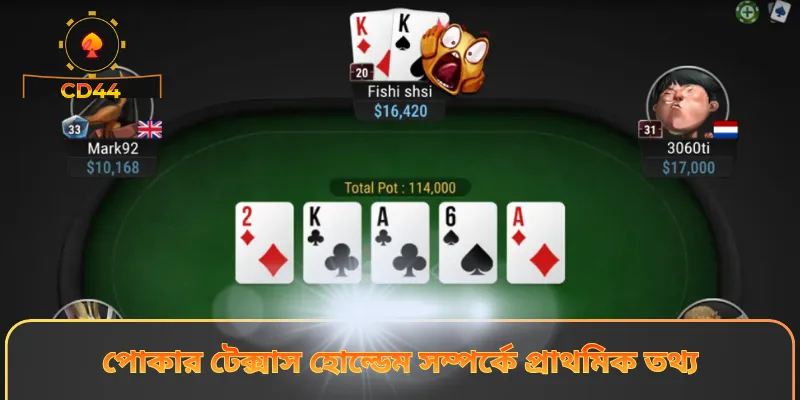 পোকার টেক্সাস হোল্ডেম সম্পর্কে প্রাথমিক তথ্য