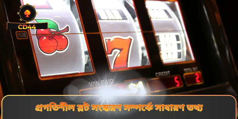 প্রগতিশীল স্লট সংস্করণ সম্পর্কে সাধারণ তথ্য