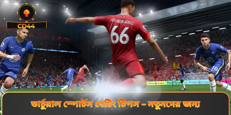 ভার্চুয়াল খেলাধুলা সম্পর্কে সাধারণ তথ্য
